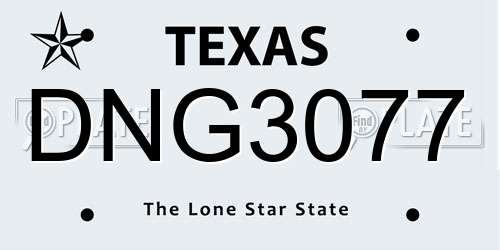 DNG3077 Texas License Plate
