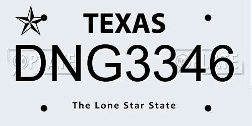 DNG3346 Texas License Plate