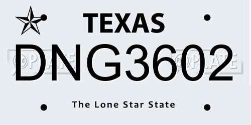 DNG3602 Texas License Plate