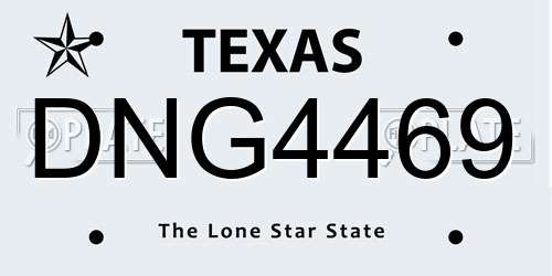 DNG4469 Texas License Plate