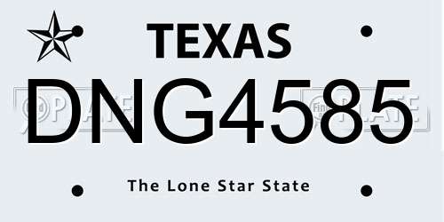 DNG4585 Texas License Plate