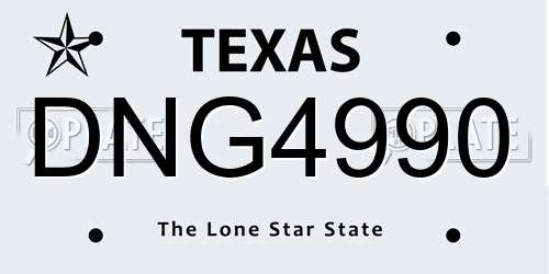 DNG4990 Texas License Plate