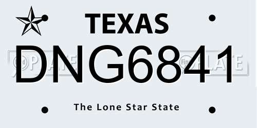 DNG6841 Texas License Plate