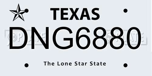 DNG6880 Texas License Plate