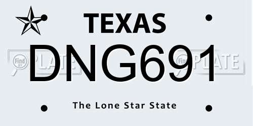 DNG691 Texas License Plate