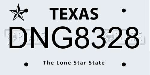 DNG8328 Texas License Plate