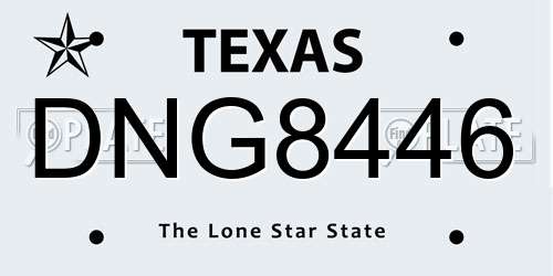 DNG8446 Texas License Plate