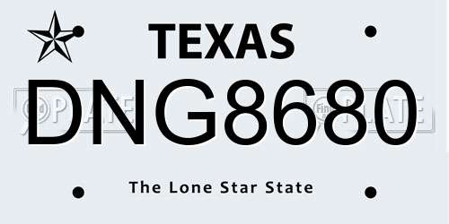 DNG8680 Texas License Plate