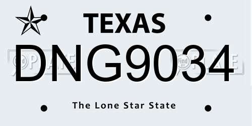 DNG9034 Texas License Plate