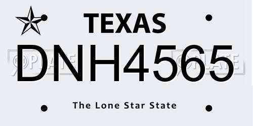 DNH4565 Texas License Plate