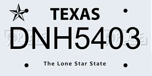 DNH5403 Texas License Plate