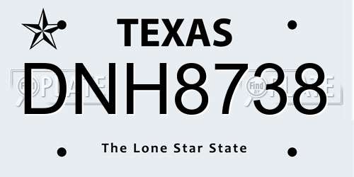 DNH8738 Texas License Plate