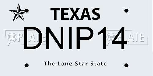 DNIP14 Texas License Plate