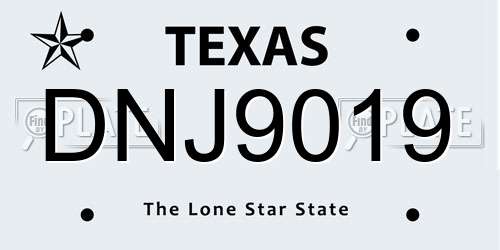 DNJ9019 Texas License Plate
