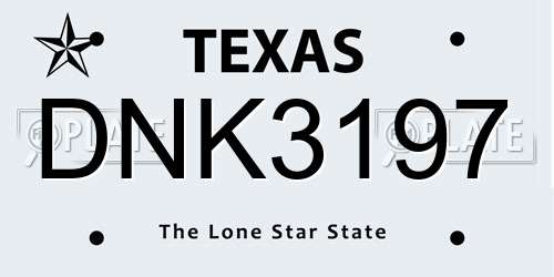 DNK3197 Texas License Plate