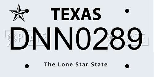 DNN0289 Texas License Plate