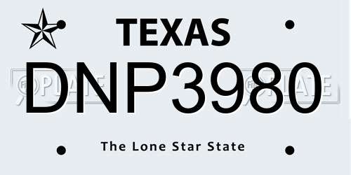 DNP3980 Texas License Plate