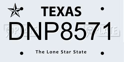 DNP8571 Texas License Plate