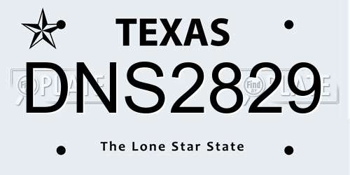 DNS2829 Texas License Plate