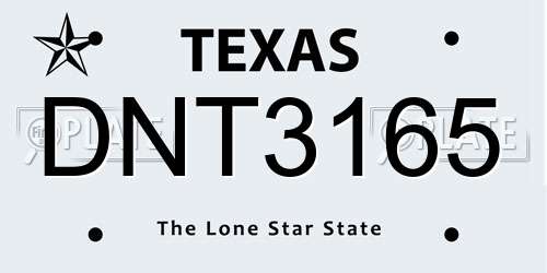 DNT3165 Texas License Plate