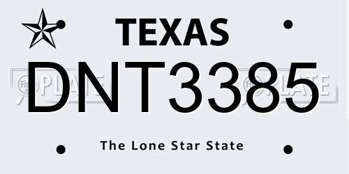 DNT3385 Texas License Plate