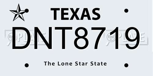 DNT8719 Texas License Plate