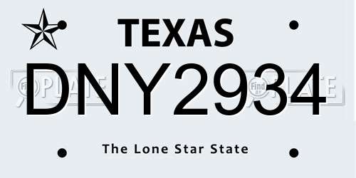 DNY2934 Texas License Plate