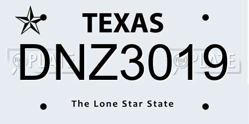 DNZ3019 Texas License Plate