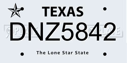 DNZ5842 Texas License Plate
