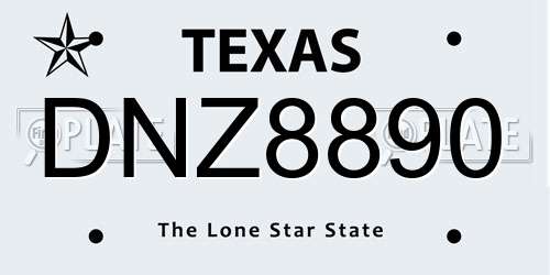 DNZ8890 Texas License Plate