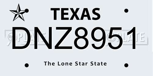 DNZ8951 Texas License Plate