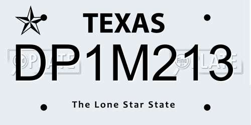 DP1M213 Texas License Plate