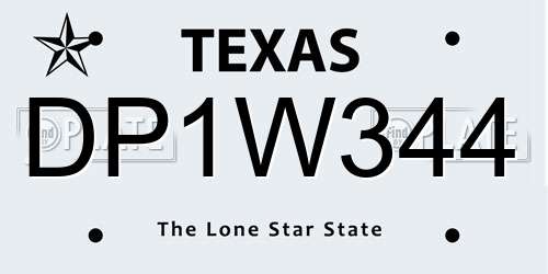 DP1W344 Texas License Plate