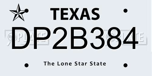 DP2B384 Texas License Plate