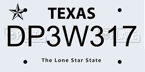 DP3W317 Texas License Plate