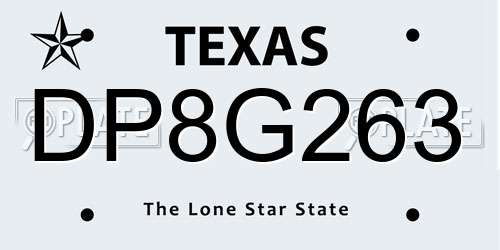 DP8G263 Texas License Plate