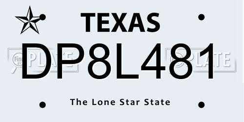 DP8L481 Texas License Plate