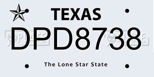 DPD8738 Texas License Plate