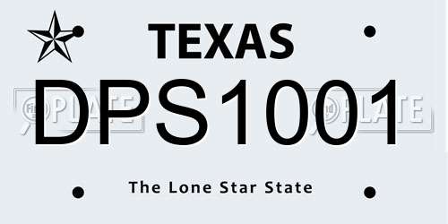 DPS1001 Texas License Plate