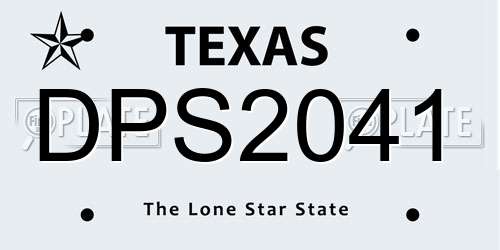 DPS2041 Texas License Plate