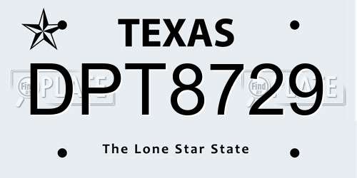 DPT8729 Texas License Plate