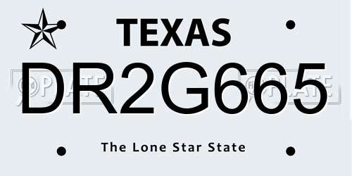DR2G665 Texas License Plate