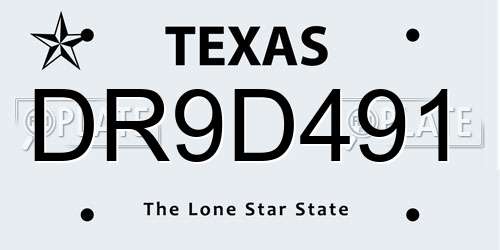 DR9D491 Texas License Plate