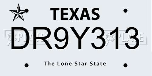 DR9Y313 Texas License Plate