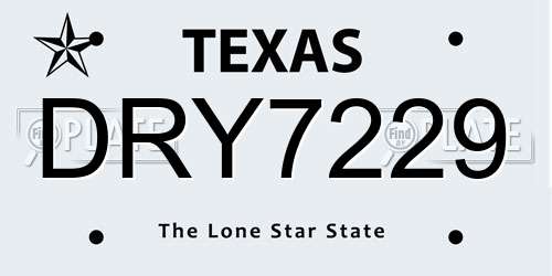 DRY7229 Texas License Plate