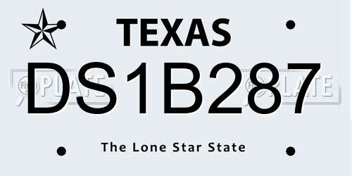 DS1B287 Texas License Plate