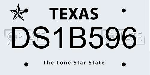 DS1B596 Texas License Plate