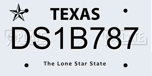 DS1B787 Texas License Plate