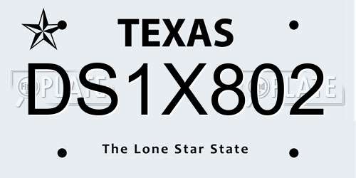 DS1X802 Texas License Plate