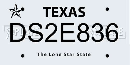 DS2E836 Texas License Plate